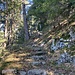 Weg von Sobrio nach Usc