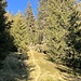 Abstieg von der Alpe Nara nach Aldescio