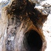 Höhle bei Culles-les-Roches *