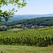 Saules