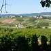 Moroges *
