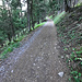 Le chemin montant à Gattustafel. 