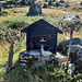 Minuscule chapelle dans un pâturage. 