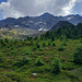 Les pentes du Bätzlerrigg.