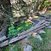 Anciens enclos à Gattustafel.