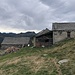 Alpe Pesced
