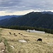 Alpe Pesced