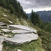 Steinplattenweg unterhalb des Munzzelümm