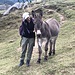 dann noch eine Runde kraulen