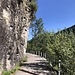 Steinhindernisse