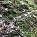 rutschigere Wege in Italien