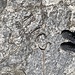 doch noch eine historische Grenzmarkierung RI Reppublicca Italiana CS Credit Suisse? Nein, Confederazione Svizzera