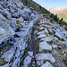 Le long de l'ancien bisse de Chervex.