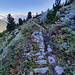 Le long de l'ancien bisse de Chervex (vue arrière).