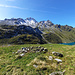 Ruine R2 à 2372m ( 592'170.58, 105'783.72 ).