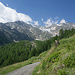 Auf dem Weg zur Alp Rossbodustaful