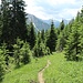 Im Eggwald zurück nach Kelmen