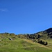 Lo sguardo verso la cima, quasi 400mt di dislivello per raggiungerla