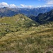 Bergamasca