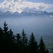 Alviergruppe