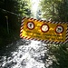 Holzschlag unterhalb der Alpzinka