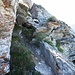 leicht "alpiner" ...