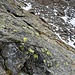 Diese Felsen muss ich queren, um wieder zum markierten Weg zu gelangen.