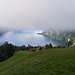 Noch unter dem Nebel...