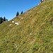 Blick Richtung Stadtner Chämm