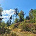 Herbstliche Stimmung erfreut das Wanderherz