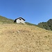 ormai sotto Falchero