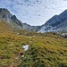 Der Talboden bei Mintl. Der Weg führt auf der Rippe in der Bildmitte nach rechts oben aufwärts.