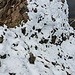 Die Nordseite ist vollkommen vereist. Auch der Anstieg von Obertal dürfte momentan nicht möglich sein.