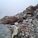 <b>Sul valico, giustamente, hanno lasciato alcune testimonianze della Prima Guerra Mondiale, quali brandelli di filo spinato e resti di villaggi militari. <br />Del resto, l’attuale Rifugio Pizzini-Frattola sorge in realtà sui resti della vecchia Capanna Cedech, eretta nel 1877. Questa, per evitare incursioni verso le valli sottostanti, fin dai primi giorni del conflitto era presidiata da un plotone della 113° Compagnia del Battaglione Tirano. La Valle Cedèc e la Valle dei Forni si trovavano in prima linea e sono state interessate da numerosi scontri tra italiani e austroungarici.</b><br />