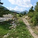 Un sentier facile dans le fond du val Ferret