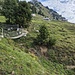 Die Hängebrücken gehören zum THemenweg