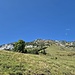 Rückblick