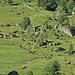 Nagelfluhbrocken-Szenerie.
