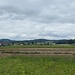 Blick in Richtung Niederried b. Kallnach<br /><br />