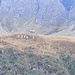 In lontananza la bellissima alpe e il rifugio Quarnei