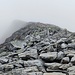 La vettaogni tanto si lascia fotografare
