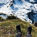 mein "Vesperplätzli" auf dem Fronalpstock mit Tiefblick zum Fronalppass hinunter