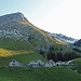 die Alp Mittler Stafel und Fronalpstock