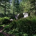 Dans le val d'Arpette, le sentier chemine entre rochers et arbres