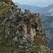 Ein Teil des Dohlentrupps im Zoom
