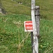 Privat, Privat, Privat