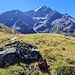 <b>Decido di parcheggiare la bici, a circa 2420 m di quota, e di iniziare il tratto a piedi: dovrebbero rimanere circa 1800 m lineari, su un sentierino che risale il versante con numerosi risvolti. Su questo pendio osservo una ventina di rondini montane (Ptyonoprogne rupestris), che volteggiano velocemente, eseguendo pure dei “looping”.<br />Alle mie spalle svetta il maestoso Pizzo Tresero (3594 m), con la sottostante Vedretta di Cerena.  </b>