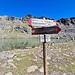 <b>Alle 12:20, dopo 3 h e 40 min dalla partenza, raggiungo il Lago della Manzina (2785 m). Da qui si gode una vista magnifica su gran parte del bacino dei Forni e là in alto, a nord, vedo delle cime che potrebbero rappresentare una meta per un futuro soggiorno in zona: il Monte Confinale (3370 m) e la Cima della Manzina (3300 m).</b> 