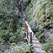Der Türlenweg ist bestens ausgebaut.