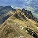Eine deutliche Spur gibts.